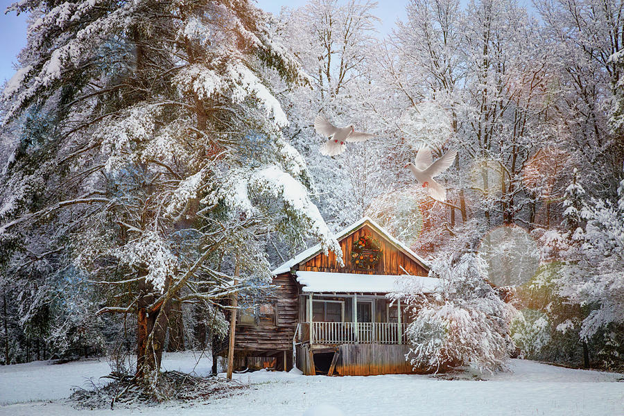 Little Cabin in the Snow at Christmas Photograph by Debra and Dave Vanderlaan
