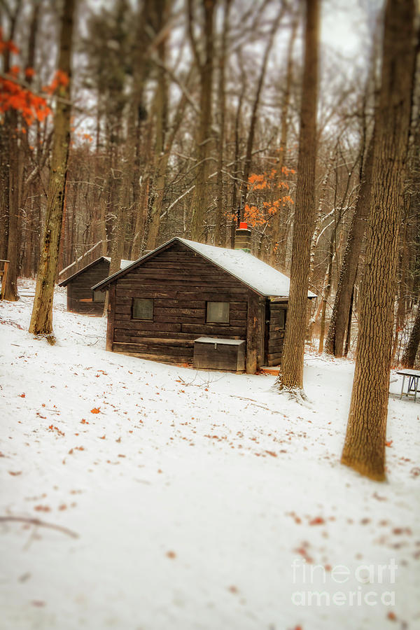 Little Cabin in the Woods Photograph by Elizabeth Dow