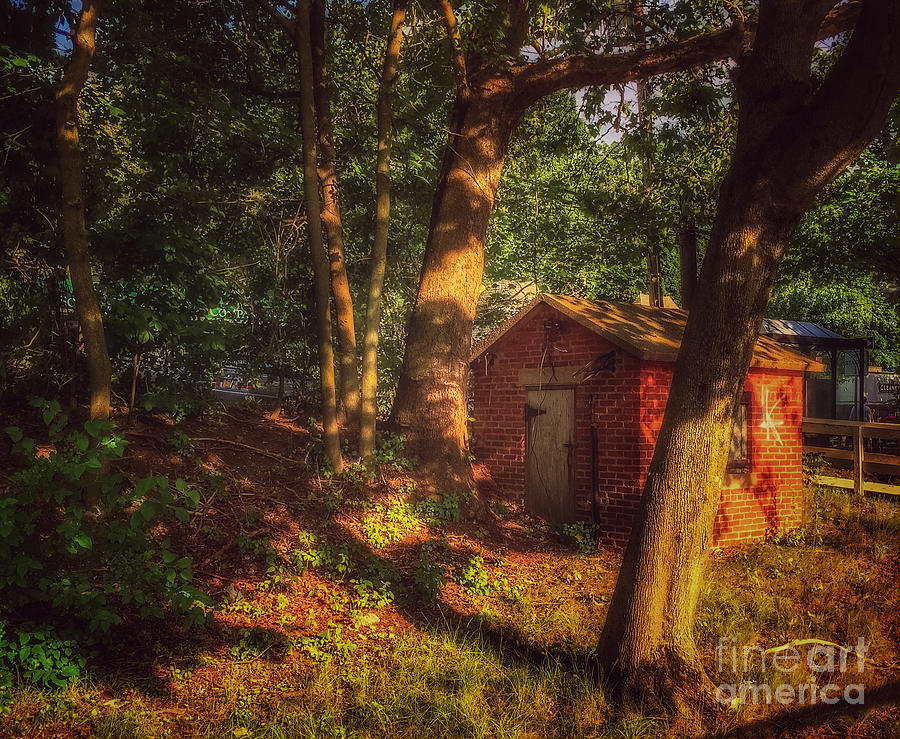 Little Cabin in the Woods - Sunset Photograph by Miriam Danar