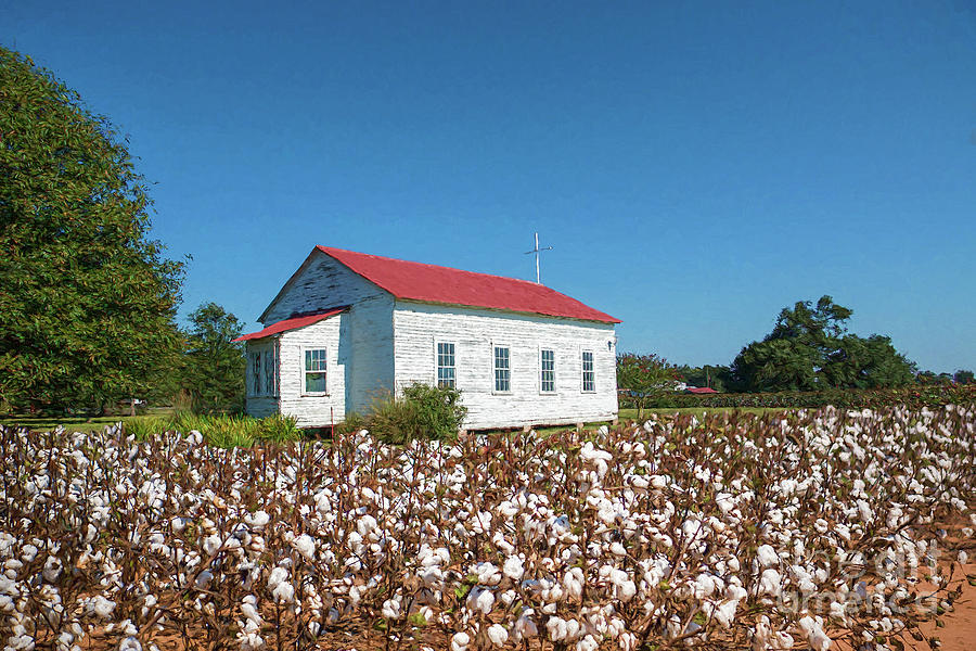 Little Church in the Cotton Field Photograph by Bonnie Barry