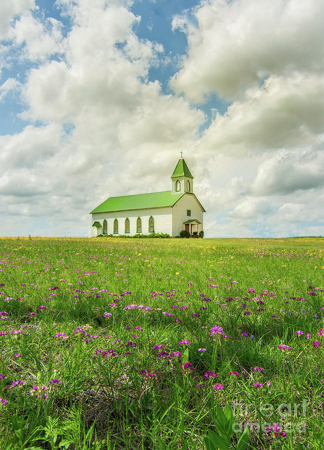 Little Church On Hill Of Wildflowers Photograph