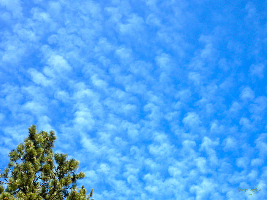 Little clouds Photograph by George Tuffy