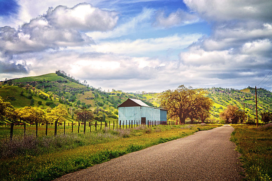 Little Country Road in California Photograph by Lynn Bauer