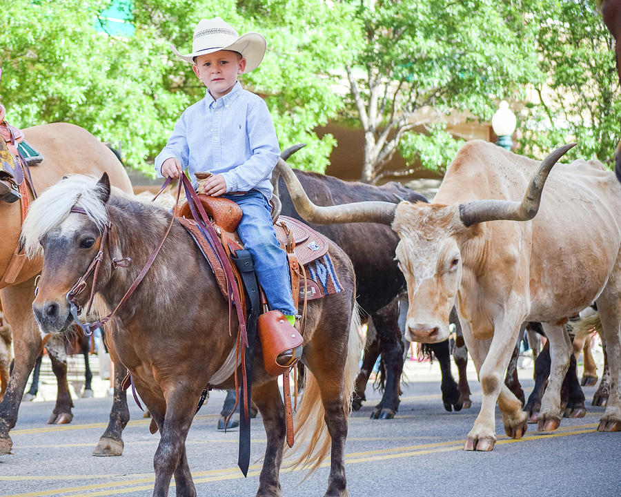 Little Cowboy Photograph by Sundust Photography | Fine Art America