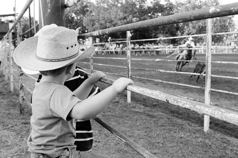 Little Cowboys at the Fence Photograph by Toni Hopper