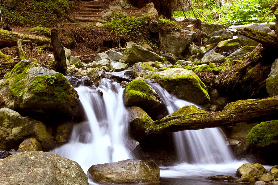 Little creek Falls Photograph by Gary Brandes