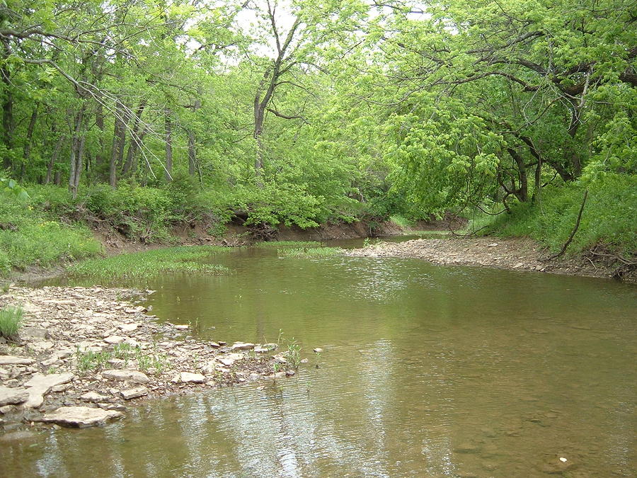 Little Creek Photograph by Jill Parrick - Fine Art America