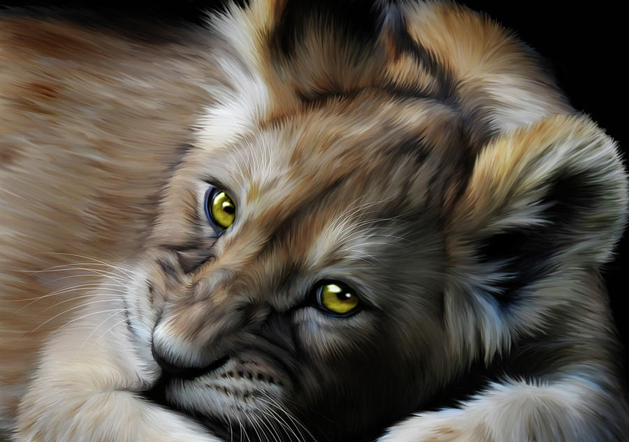 Little Cub Digital Art By Julie L Hoddinott - Pixels