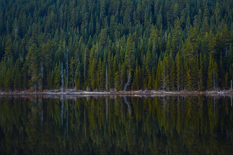 Little cultus lake Photograph by Connor Knott - Fine Art America