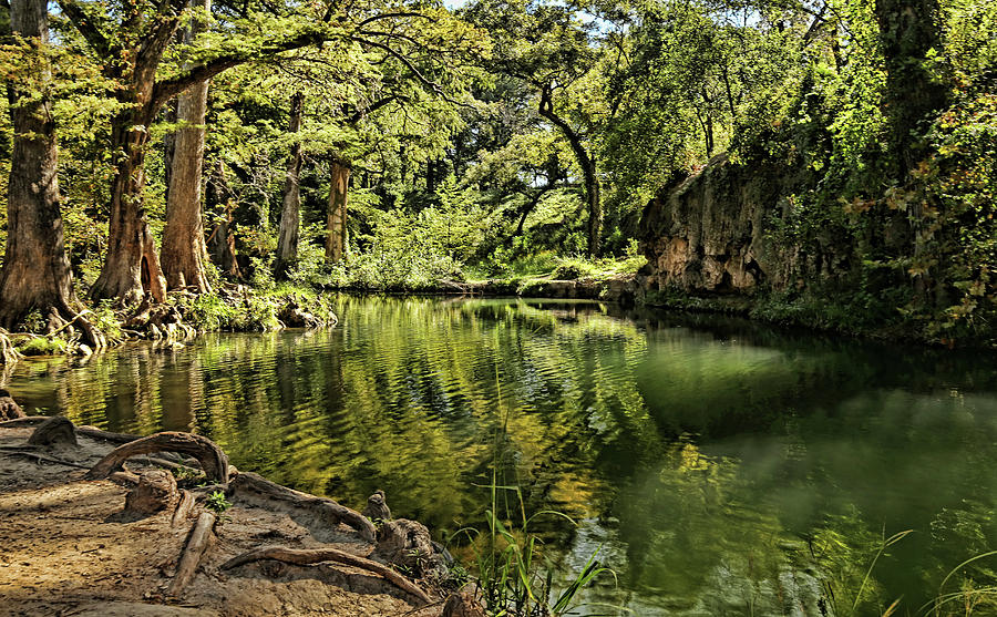 Little Cypress Creek Photograph by Judy Vincent
