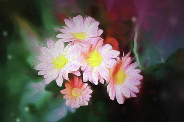 Little Daisies Painting by Renette Coachman