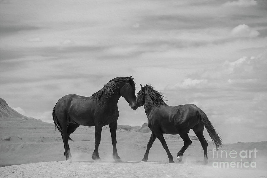 Nikon Photograph - Little Dance by Nicole Markmann Nelson Nikon Photograph - Little Dance by Nicole Markmann Nelson