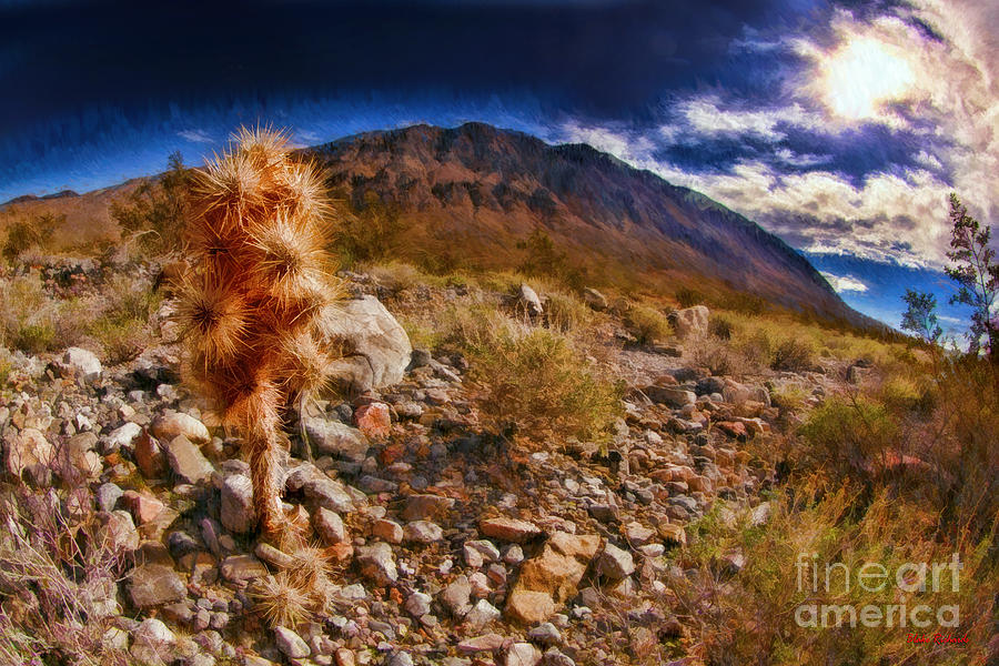 Little Death Valley Cactus Photograph by Blake Richards