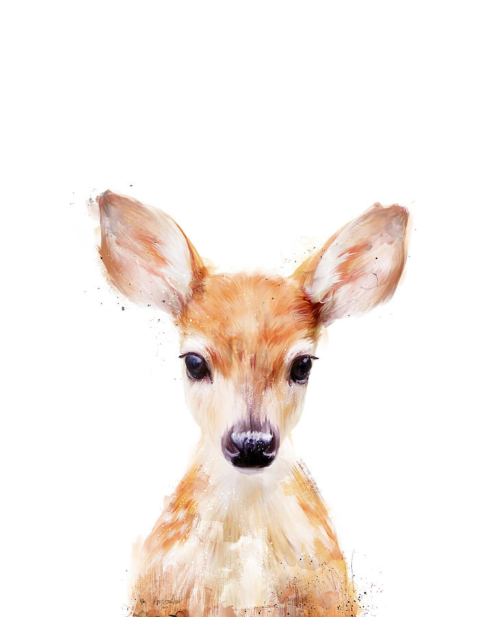 Fawn Painting - Little Deer by Amy Hamilton