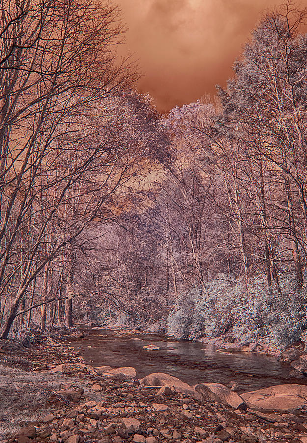 Little Doe River Infrared Photograph by Jim Cook