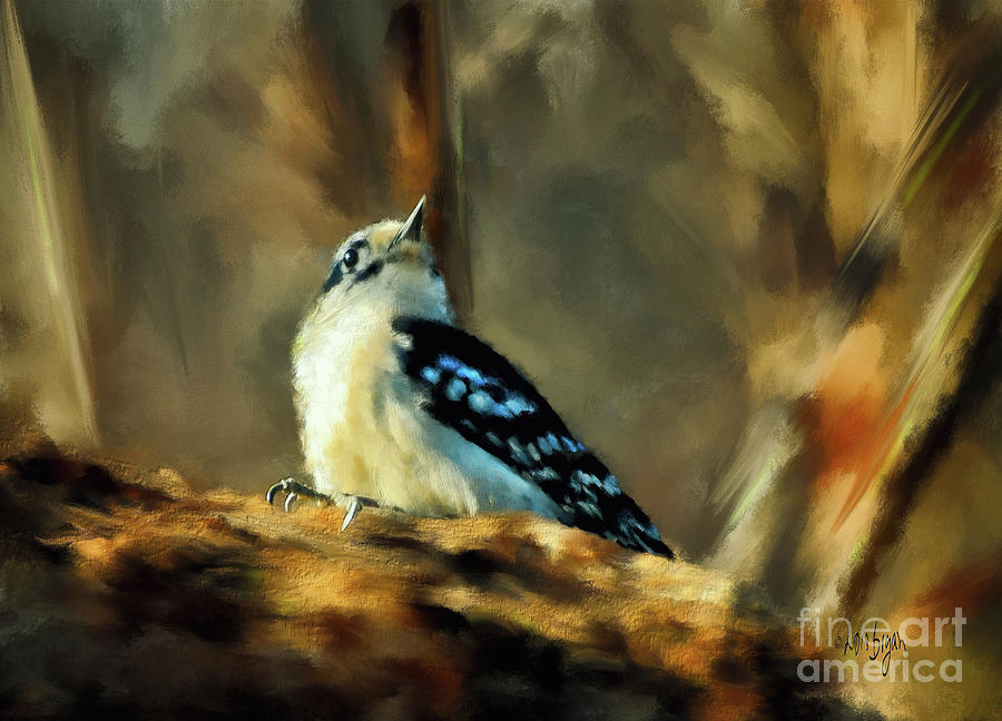 Woodpecker Photograph - Little Downy Woodpecker In The Woods by Lois Bryan