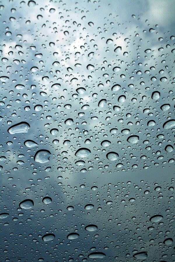 Little drops of rain Photograph by Linda Sannuti