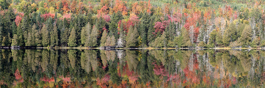 Little Dummer Pond Panoramic Photograph by Brett Pelletier