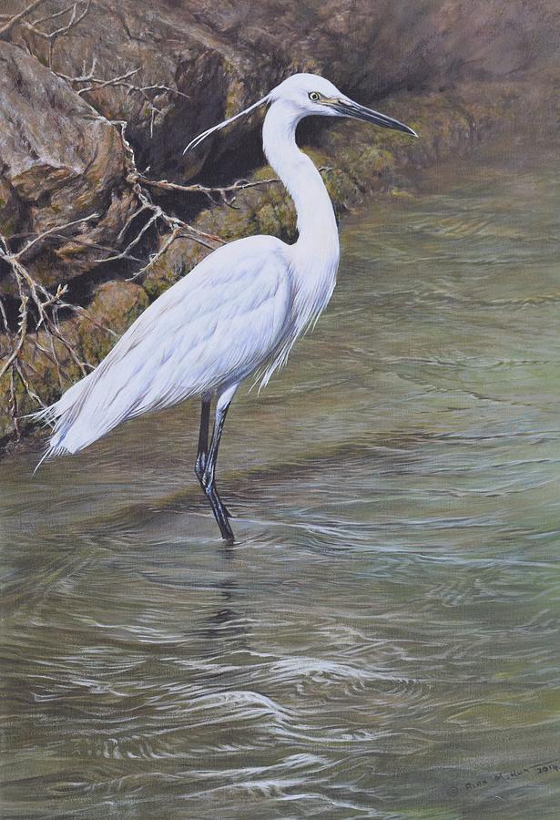 Little Egret Painting by Alan M Hunt