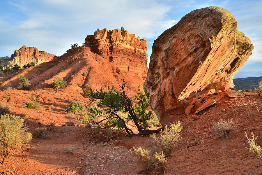 Little Egypt in Capitol Reef Photograph by Ray Mathis