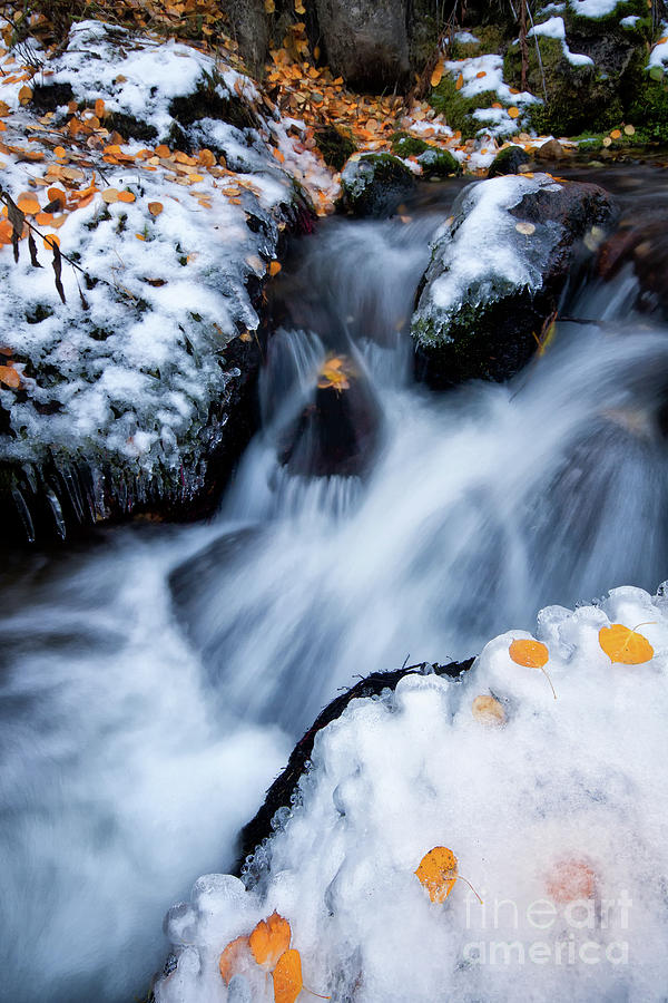 Little Fall, Little Winter on Boulder Creek Photograph by Ronda Kimbrow
