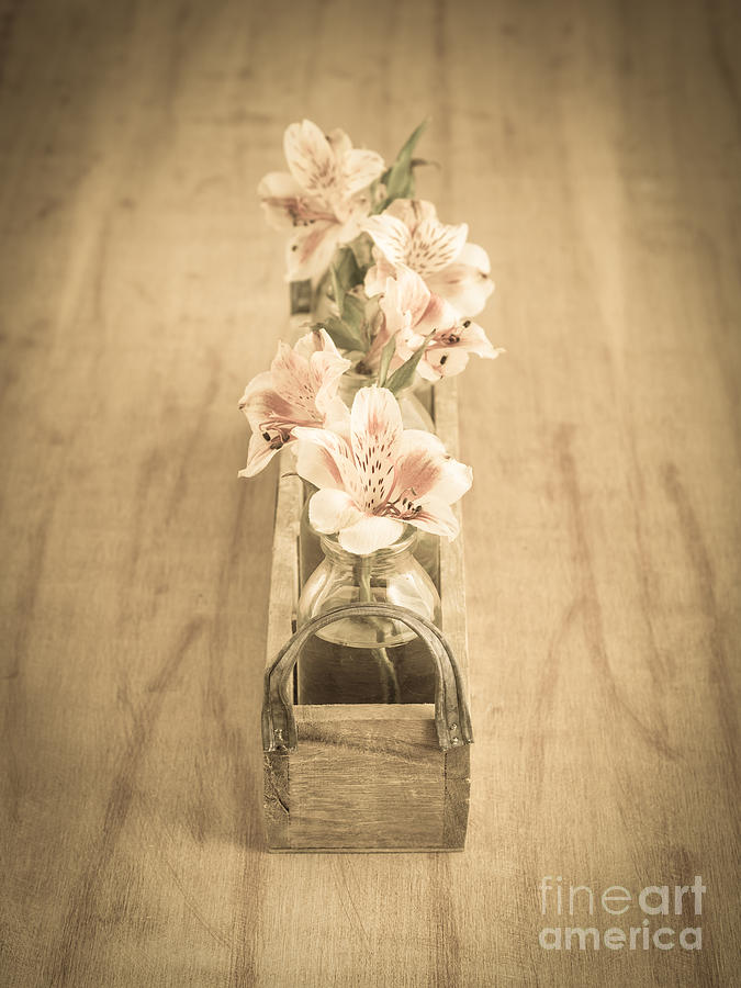 Little Flowers Photograph by Edward Fielding