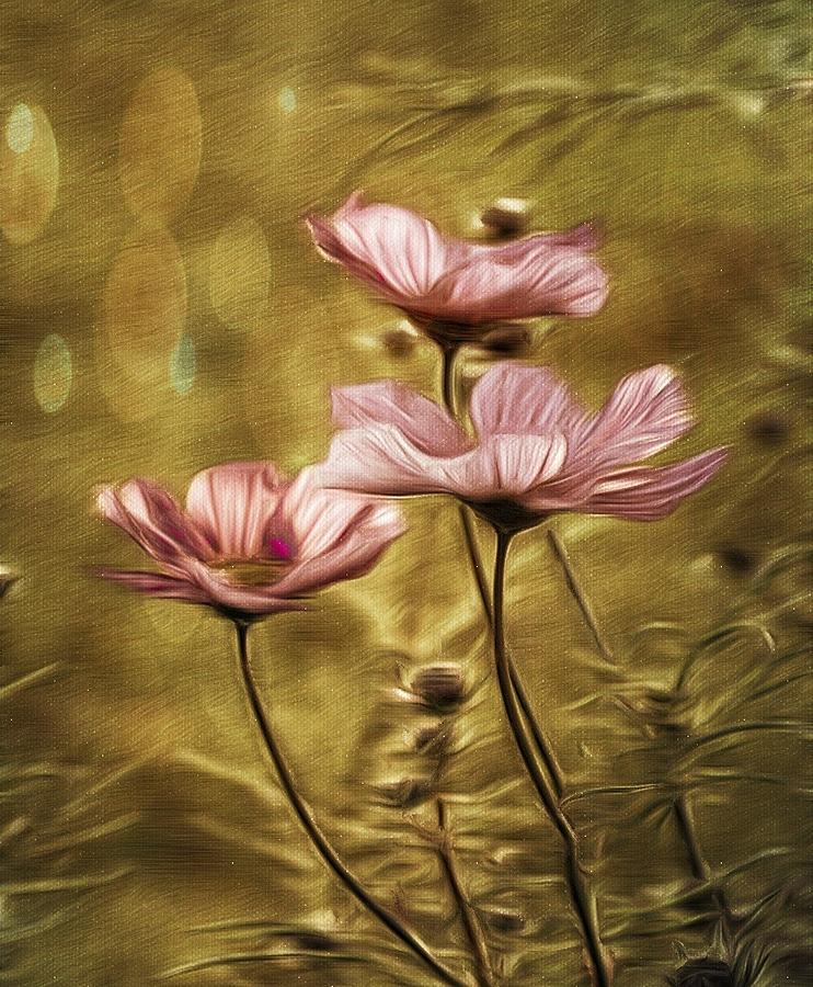 Little Flowers Photograph by Phyllis Meinke
