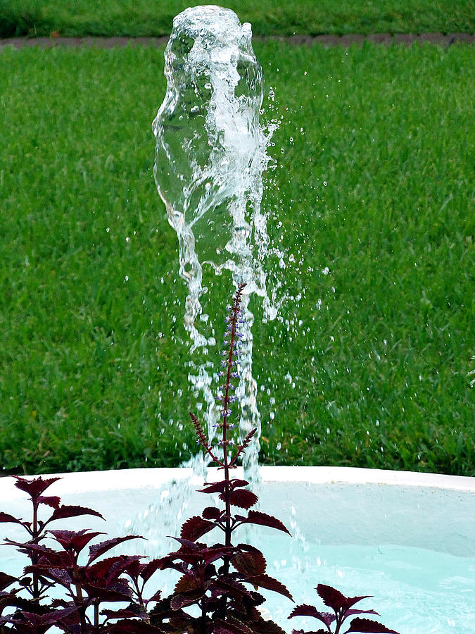 Little Fountain  Photograph by Christopher Mercer