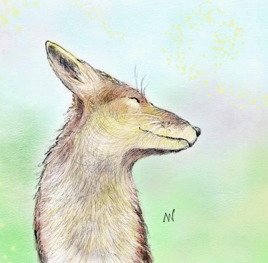 Little Fox Digital Art by AnneMarie Welsh