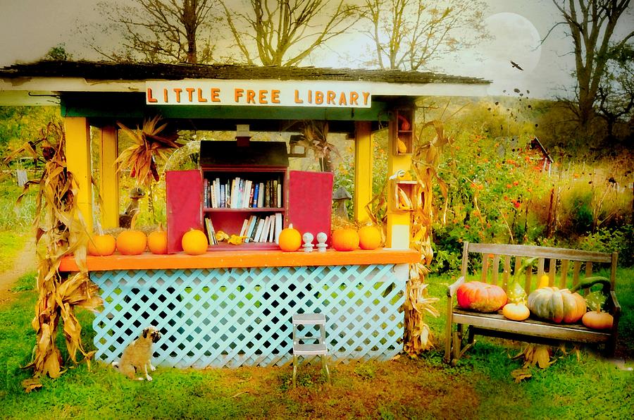 Little Free Library Photograph by Diana Angstadt