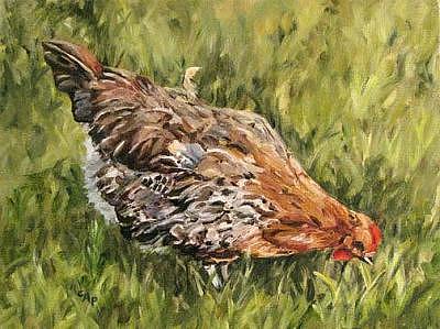 Chicken Painting - Little French Hen by Cheryl Pass Chicken Painting - Little French Hen by Cheryl Pass