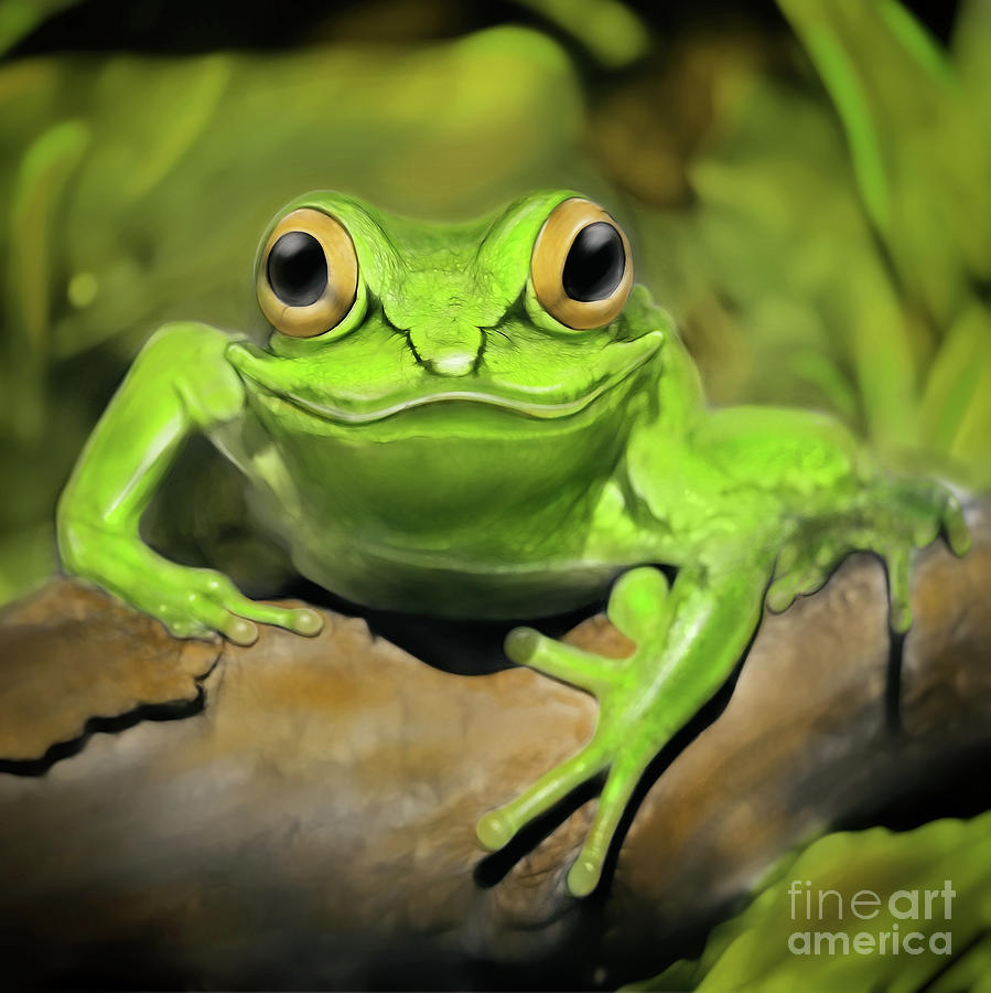 Frog Digital Art - Little frog by Silvio Schoisswohl