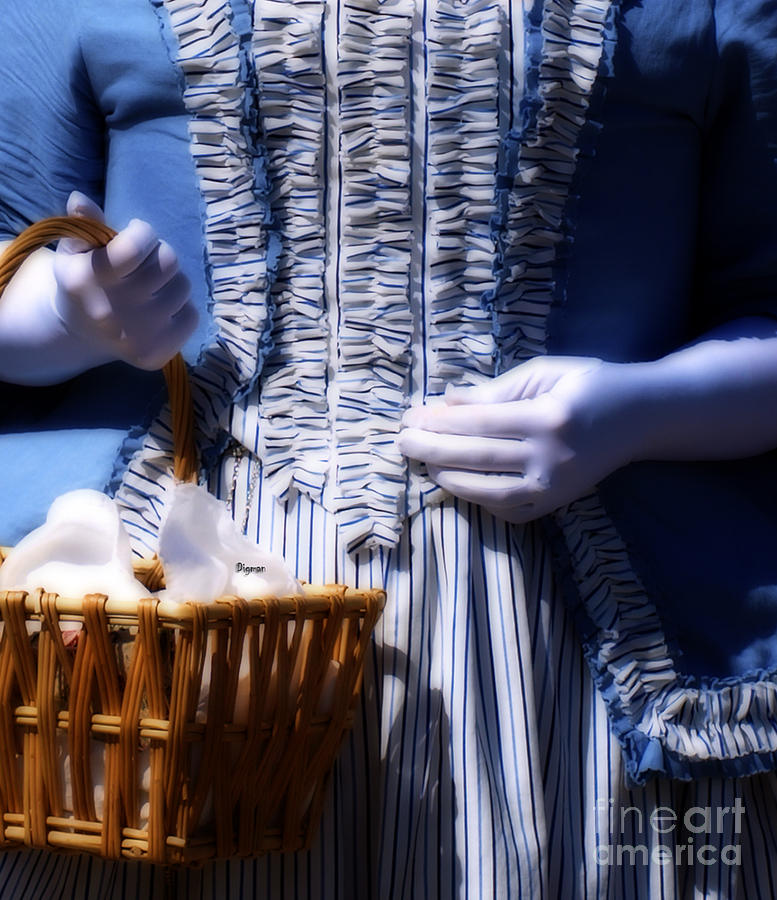 Basket Photograph - Little Girl Blue by Steven Digman