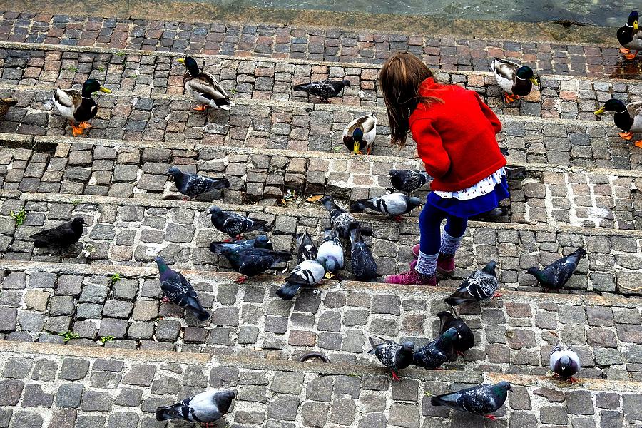 Little Girl Feeding Ducks and Pigeons Photograph by Marilyn Burton