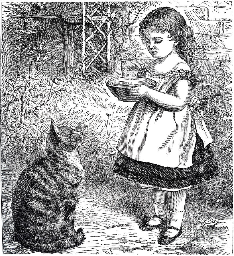 Little Girl Gives Her Cat Its Dinner Drawing by Vintage Collectables