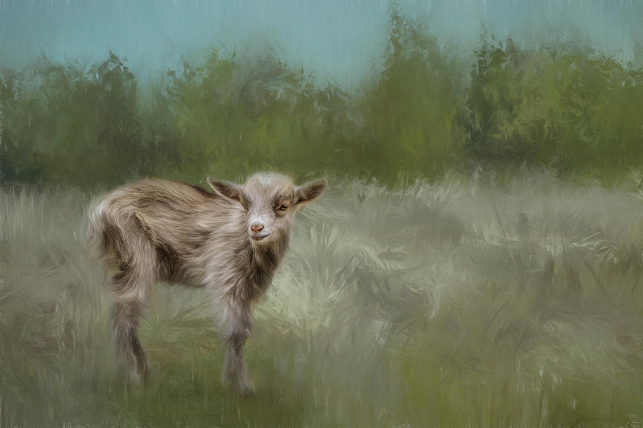 Little Goat In A Big World Painting by Jai Johnson