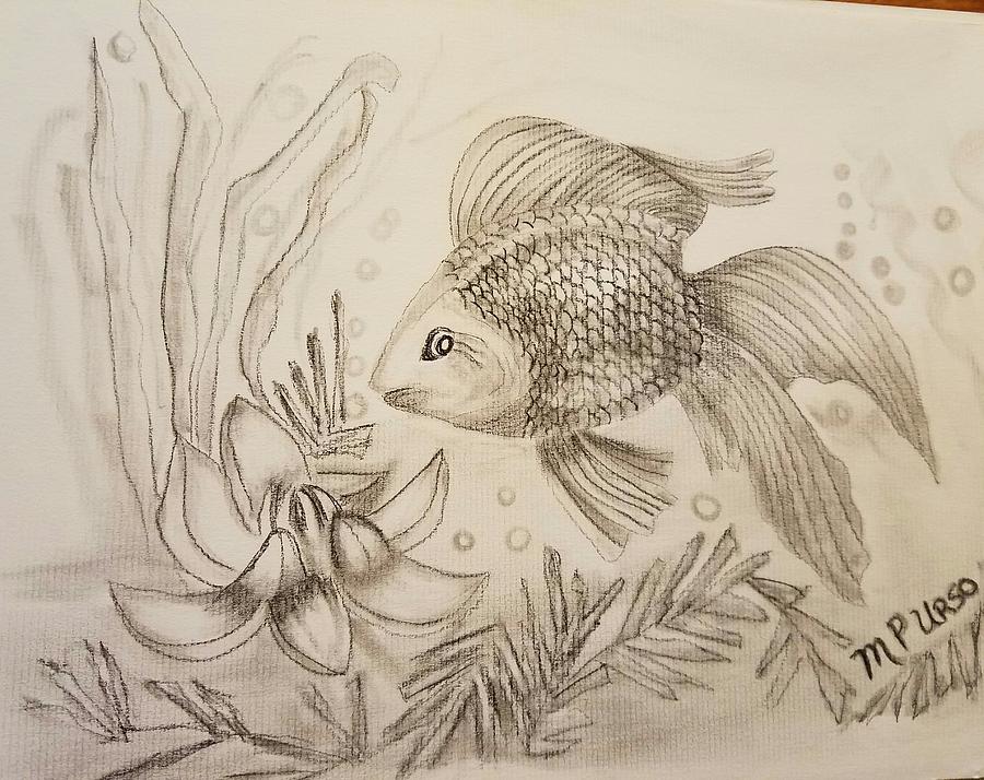 Little Goldfish Drawing Photograph by Maria Urso