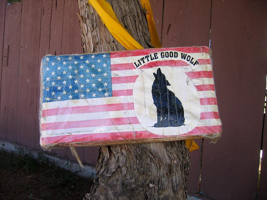 Little good wolf number 2 Tombstone Arizona 2004 Photograph by David Lee Guss