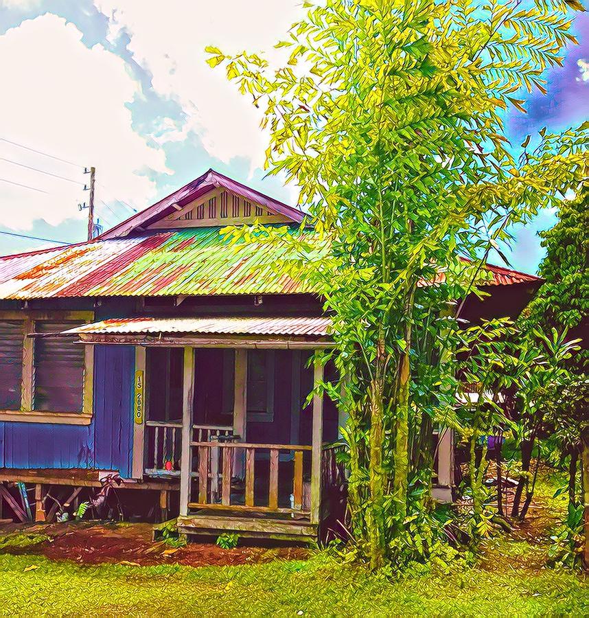 Little Grass Shack in Pahoa 3 Photograph by Joalene Young