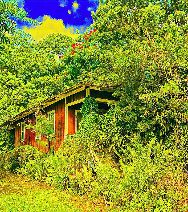 Little Grass Shack in Pahoa Hawaii Another View Photograph by Joalene Young