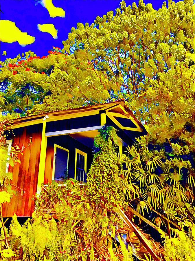 Little Grass Shack in Pahoa Hawaii in Gold  Photograph by Joalene Young