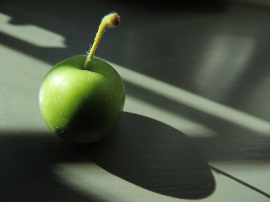 Morning Photograph - Little Green Apple by Bill Tomsa