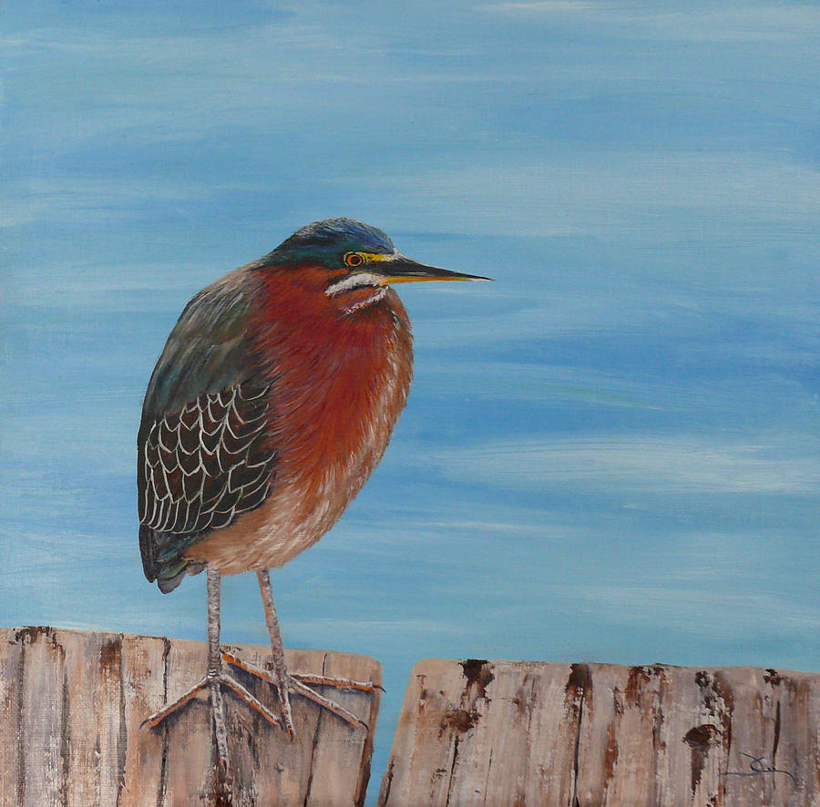 Little Green Heron Painting by Dee Carpenter