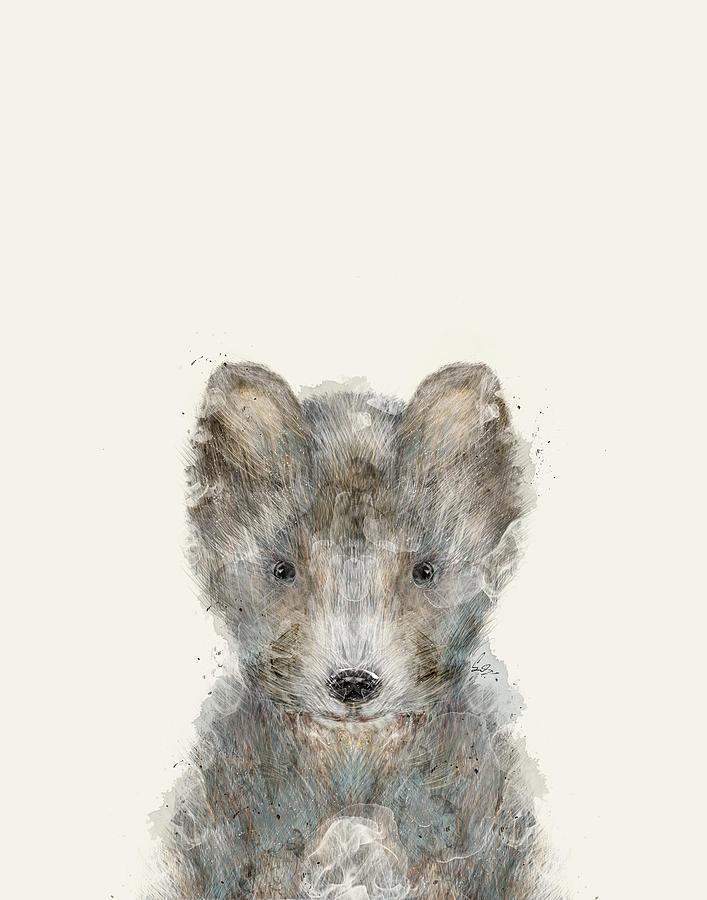 Animal Painting - Little Grey Wolf by Bri Buckley