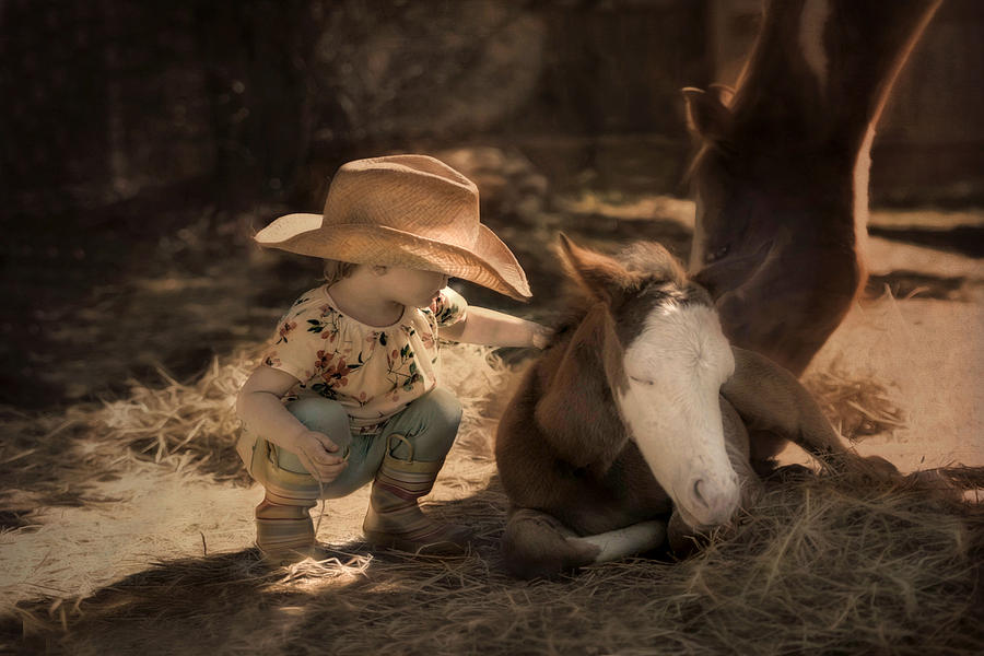 Little Horse Whisperer Photograph by Robin-Lee Vieira