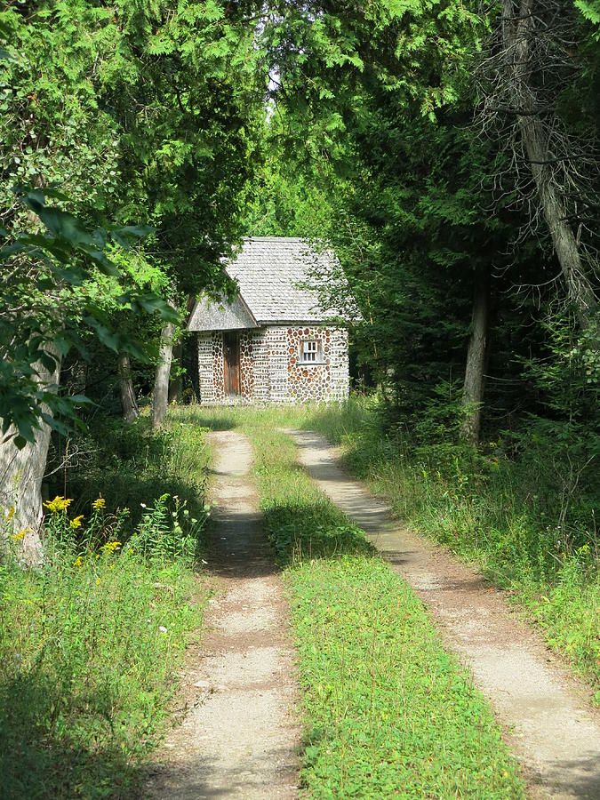  Little  House  In The Forest  Photograph by Lorenzo Solime