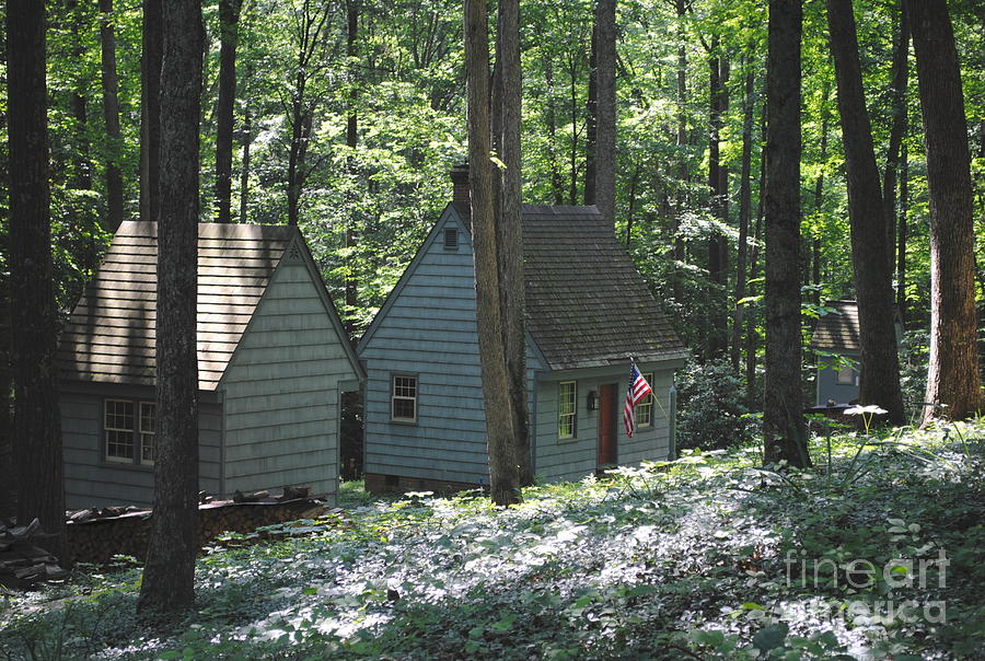 Flag Photograph - Little House in the Woods by Jost Houk