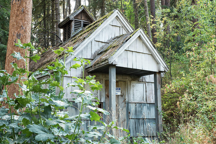 Little House in the Woods Photograph by Tom Cochran