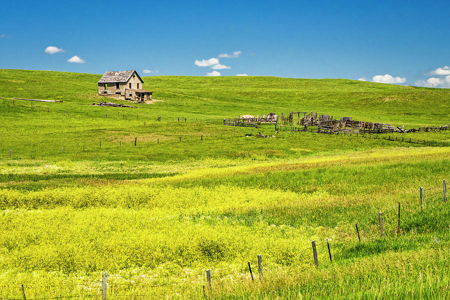 LIttle house on the prairie by Andy Crawford LIttle house on the prairie by Andy Crawford