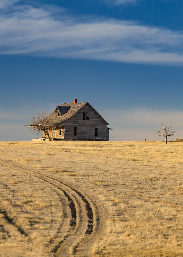 Little House on the Prairie Photograph by Bridget Calip